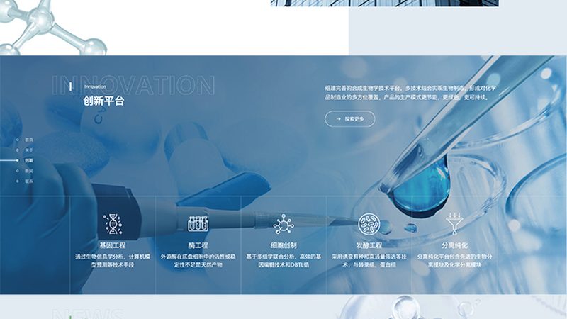 引物合成厂家排名背后的考量因素