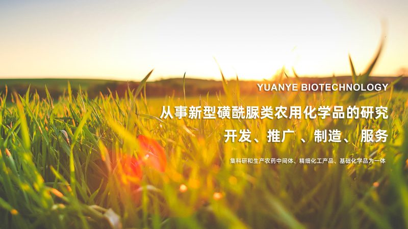 国产培养基：抗体生产中的得力助手