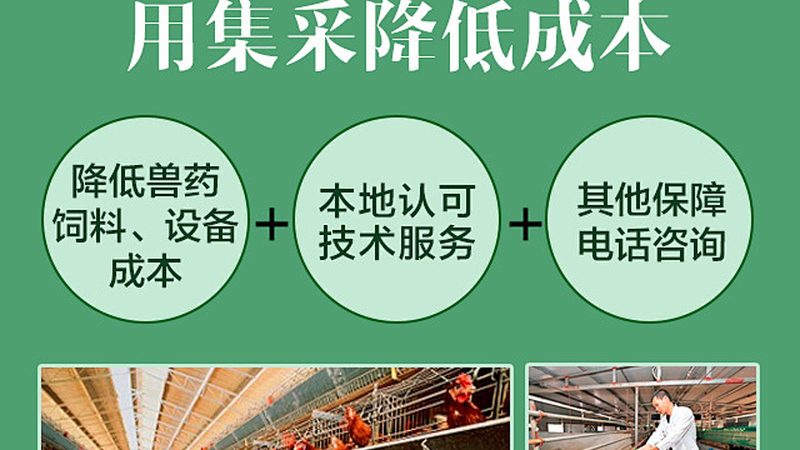 抗体纯化定制服务：揭秘医药研发的关键环节